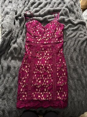 Lulu’s Fuchsia Lace Dress